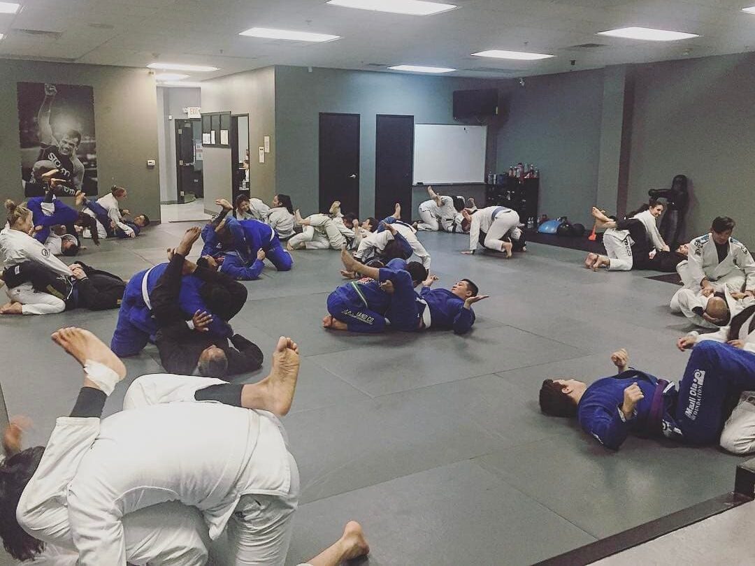 Adult Brazilian Jiu Jitsu - Cobrinha BJJ