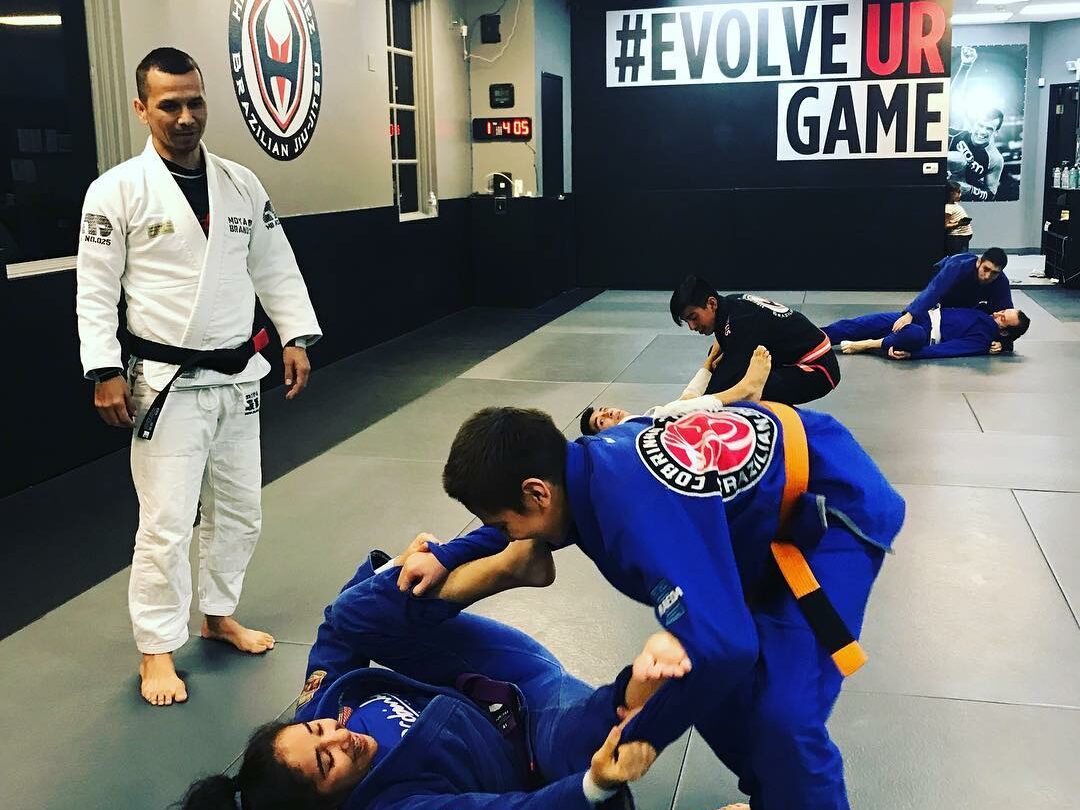 Adult Brazilian Jiu Jitsu - Cobrinha BJJ